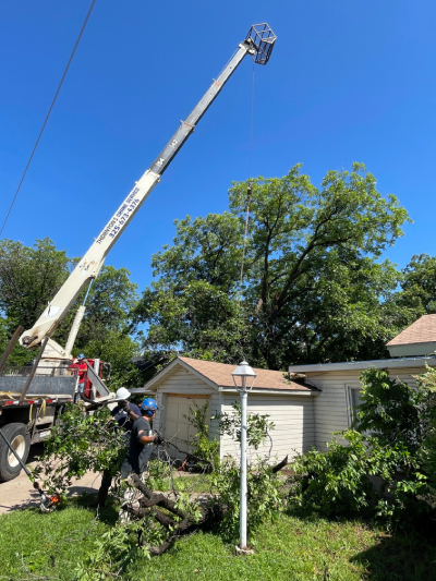 Abilene Tree Service Crane operation