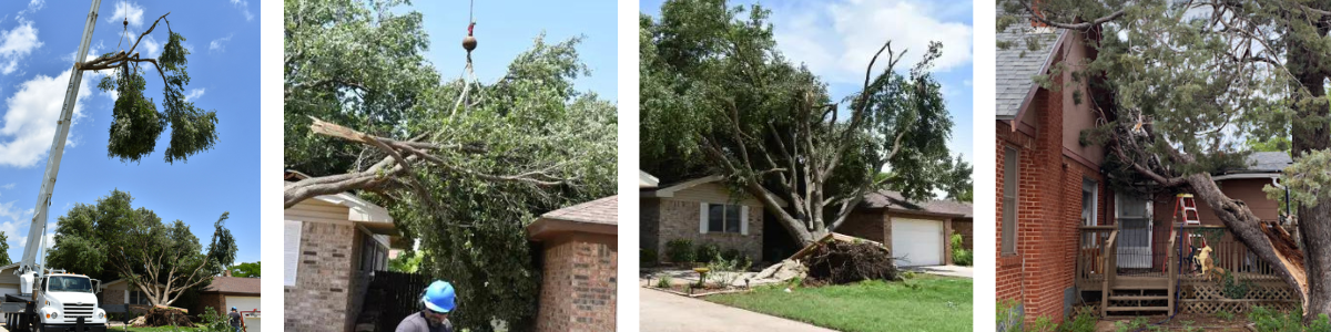 Tree Storm Damage Cleanup
