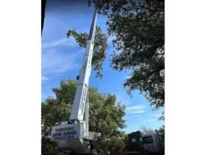 Removing Pecan Tree with Crane