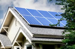 solar panels and tree trimming