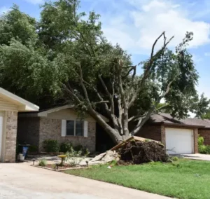 Tree Storm Cleanup