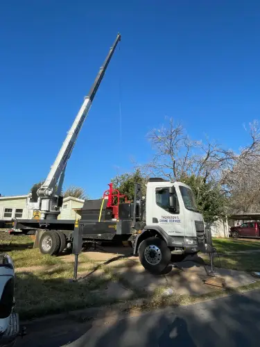 January Tree Removal-1