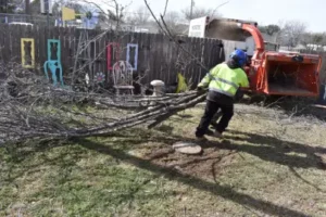 Removing tree limbs