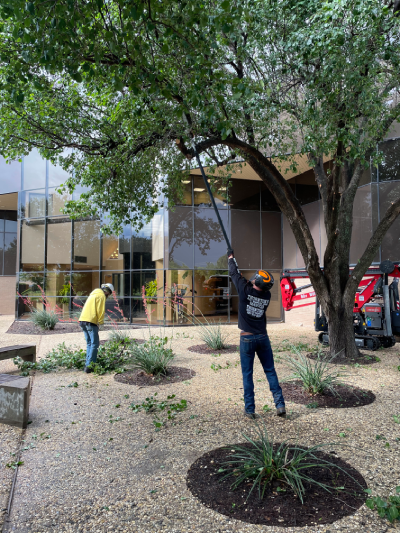 Tree Trimming crew Abilene