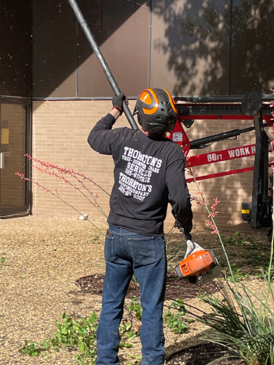 Mike Thornton Abilene Tree Service Owner