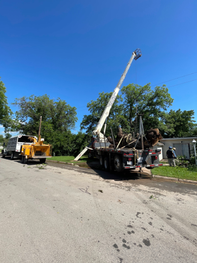 Tree Service - Abilene Residential