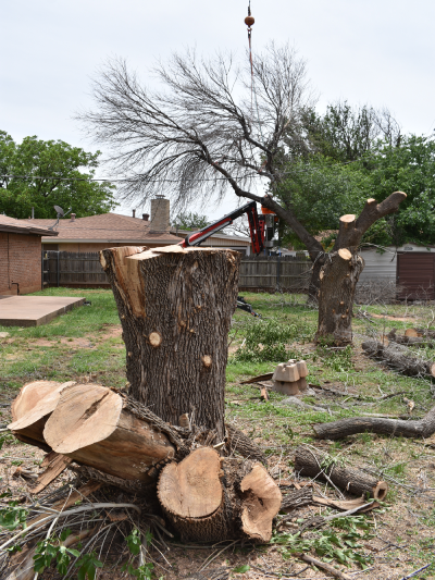 3 trees removed from a residential backyard using our tree crane