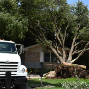 Tree Damaged House