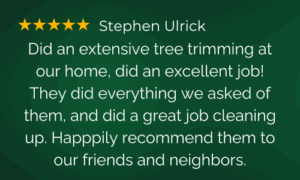 Extensive Tree Trimming Review