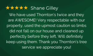 Shane Gilley 5 Star Review