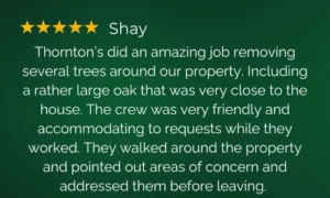 Shay 5-star Review