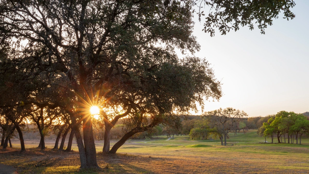 September Texas Tree Care