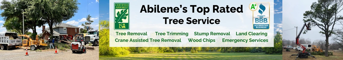 Thornton's Tree Service, Abilene's expert tree removal, tree trimming, stump grinding, land clearing team